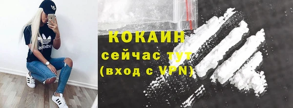 соль ск Михайлов