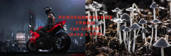соль ск Михайлов