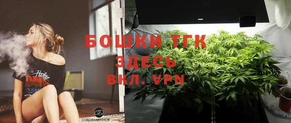 соль ск Михайлов