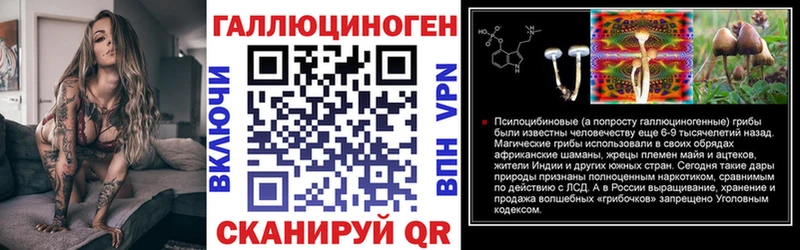 Галлюциногенные грибы Psilocybine cubensis  блэк спрут   Нестеровская 